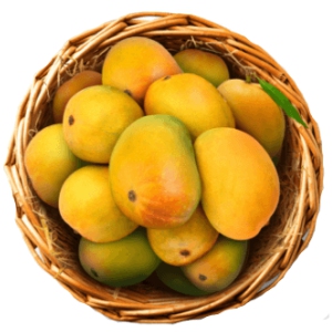 Ratnagiri Hapus