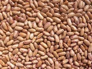 Rajma White
